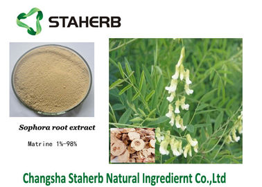 Chine Poudre blanche de Matrine 98% d'extrait de Flavescens de Sophora de champ d'agriculture fournisseur