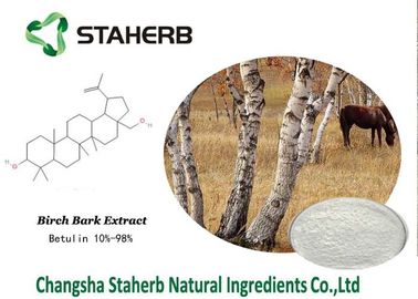 La Chine Ingrédients organiques de maquillage d'extrait d'écorce de bouleau, ingrédients naturels de beauté fournisseur