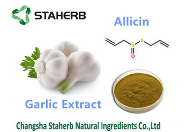 Chine Cas 539 86 6 extraits antibactériens d'usine d'Allicin, extraits antimicrobiens d'usine fournisseur
