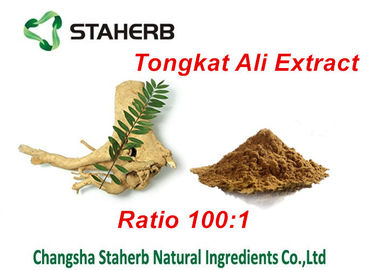 Chine Ingrédients masculins naturels d'amélioration d'extrait de Tongkat Ali, amélioration masculine de fines herbes fournisseur