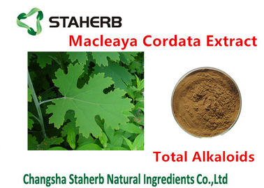 Chine Couleur antibactérienne des alcaloïdes 20%-60% Brown de total d'extrait de Cordata de Macleaya d'usine fournisseur