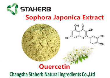Chine Extrait de cognassier du Japon de Sophora extrayant des produits chimiques à partir de la quercétine 98% d'usines fournisseur