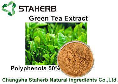 Chine Polyphénols naturels d'extrait de thé vert d'extraits d'usine de poudre de Brown jaune 50% par CLHP fournisseur