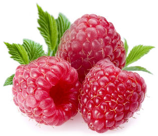 Framboise de fines herbes Keton 4% de poudre d'extrait de framboise de matières premières de rapports d'extrait de Chingii de Rubus fournisseur