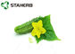 Poudre déshydratée organique d'extrait de concombre vert clair pour la nourriture/cosmétique fournisseur
