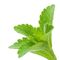 Additifs naturels d'édulcorant, RA/Stevioside de la poudre 90% 97% 98% d'extrait de feuille de Stevia fournisseur