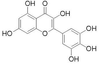 Poudre anti-inflammatoire d'extrait d'usine de la myricétine 98% d'extrait d'écorce de Bayberry fournisseur