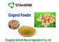 poudre sèche soluble dans l'eau addtive de gingembre de gingembre d'extrait d'extrait de nourriture végétale organique de poudre fournisseur