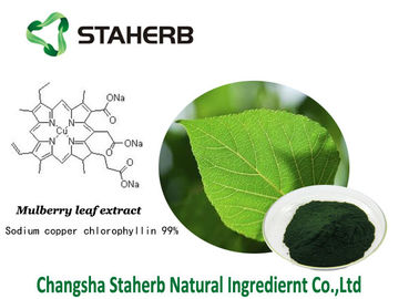 Chlorophyllin antibactérien d'en cuivre de sodium d'extrait de feuille de mûre d'extraits d'usine de Chlorophyllin fournisseur