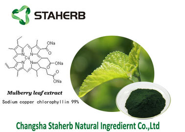 Chlorophyllin antibactérien d'en cuivre de sodium d'extrait de feuille de mûre d'extraits d'usine de Chlorophyllin fournisseur