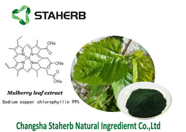 Chlorophyllin antibactérien d'en cuivre de sodium d'extrait de feuille de mûre d'extraits d'usine de Chlorophyllin fournisseur