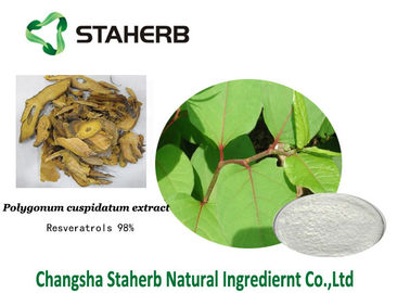 Extrait antioxydant de cuspidatum de Polygonum de supplément diététique de Resveratrol fournisseur