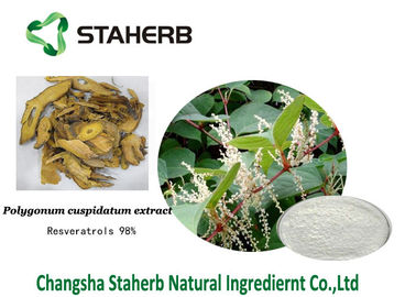 Extrait antioxydant de cuspidatum de Polygonum de supplément diététique de Resveratrol fournisseur