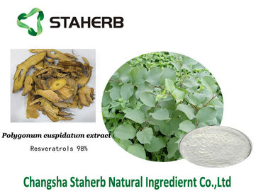 Extrait antioxydant de cuspidatum de Polygonum de supplément diététique de Resveratrol fournisseur