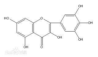 Extrait naturel pur d'écorce de bayberry d'extraits d'usine de supplément de santé de poudre de myricétine fournisseur