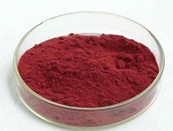 Poudre fine violette supplément antioxydant organique/naturel d'extrait de canneberge fournisseur