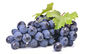 Resveratrol cosmétique naturel 5% Cas No.501-36-0 d'ingrédients d'extrait de peau de raisin fournisseur