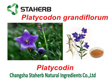 Extraits de plantes vertes de Platycodon Grandiflorum, extrayant des produits chimiques à partir des usines fournisseur
