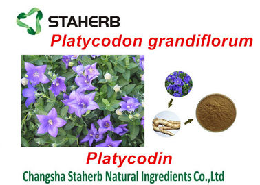 Extraits de plantes vertes de Platycodon Grandiflorum, extrayant des produits chimiques à partir des usines fournisseur