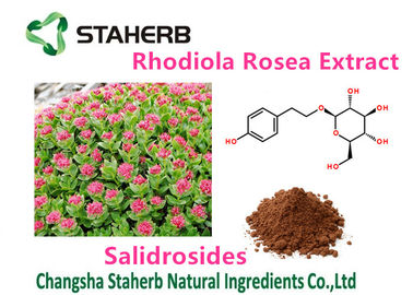 L'usine naturelle pure de santé d'extrait femelle de Rhodiola Rosea extrait Salidrosides 3% fournisseur