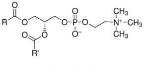 L'usine naturelle pure d'extrait de soja extrait des soins de santé de la phosphatidylcholine 80% fournisseur