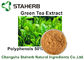 Polyphénols naturels d'extrait de thé vert d'extraits d'usine de poudre de Brown jaune 50% par CLHP fournisseur